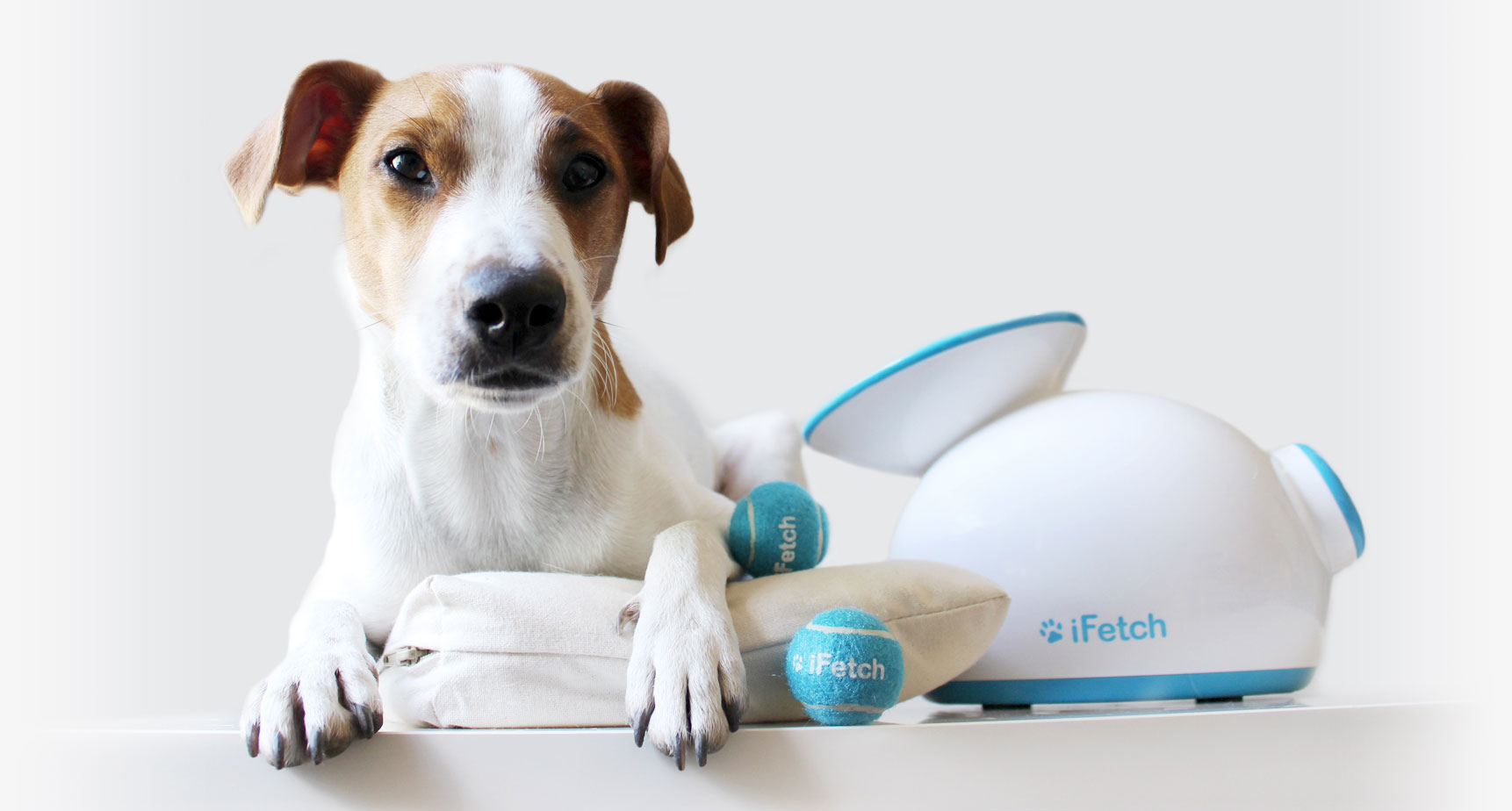 iFetch