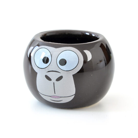 Animali Della Giungla | Mini Coltivazioni - immagine 5
