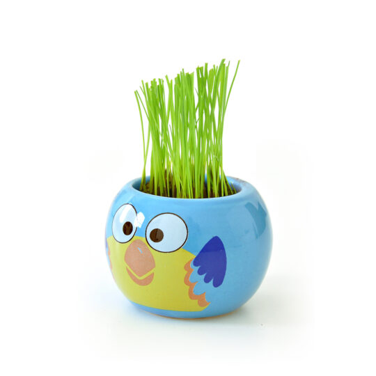 Animali Della Giungla | Mini Coltivazioni - immagine 9