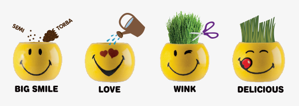 Smiley World | How to