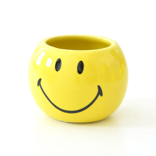 Smiley World | Mini Coltivazioni - immagine 8