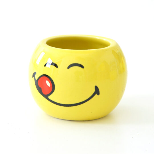 Smiley World | Mini Coltivazioni - immagine 9