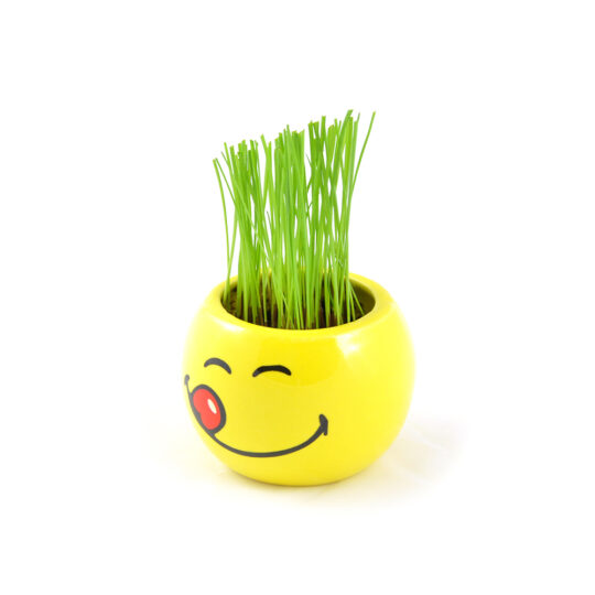 Smiley World | Mini Coltivazioni - immagine 10