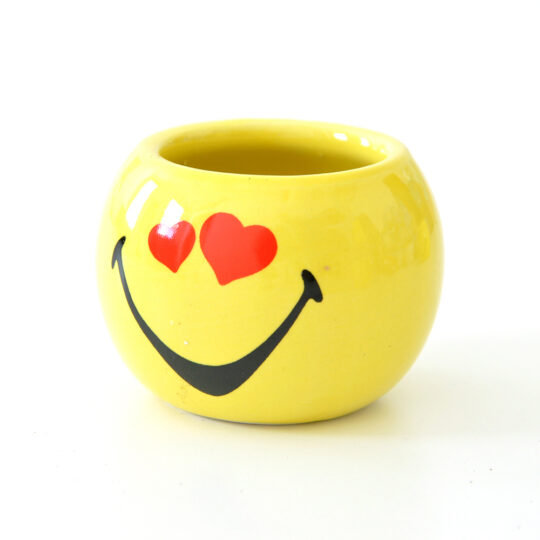 Smiley World | Mini Coltivazioni - immagine 7
