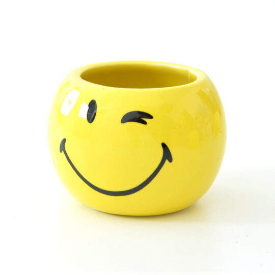Smiley World | Mini Coltivazioni - immagine 6